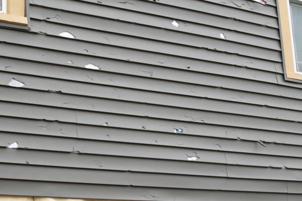 Best Brick Veneer Siding  in Saco, ME