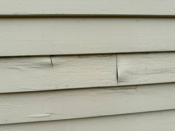 Best Wood Siding Installation  in Saco, ME