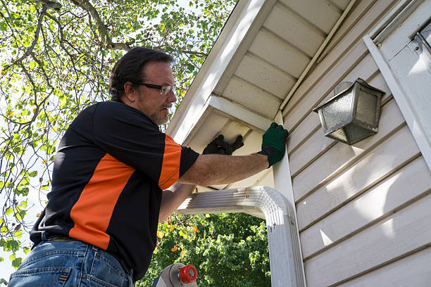 Best Fiber Cement Siding Installation  in Saco, ME